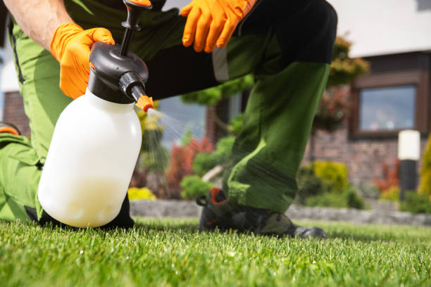 Best Best Pest Control Companies  in Russell Springs, KY