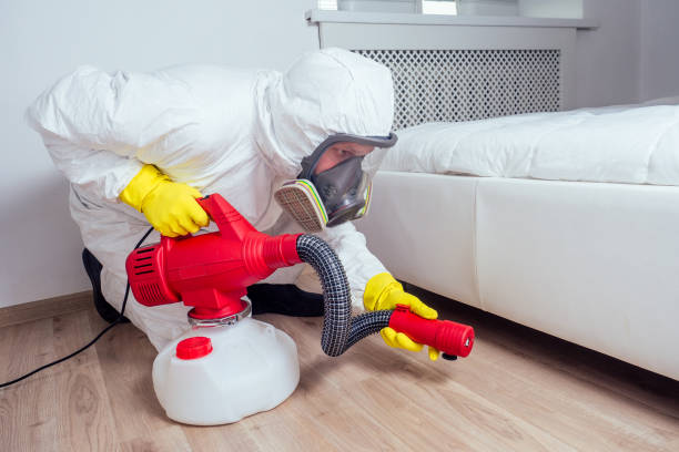 Best Local Pest Control Services  in Russell Springs, KY